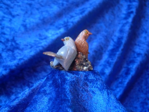 Video #2 paar halfedelstenen 3.5cm Video #2 paar halfedelstenen 3.5cm